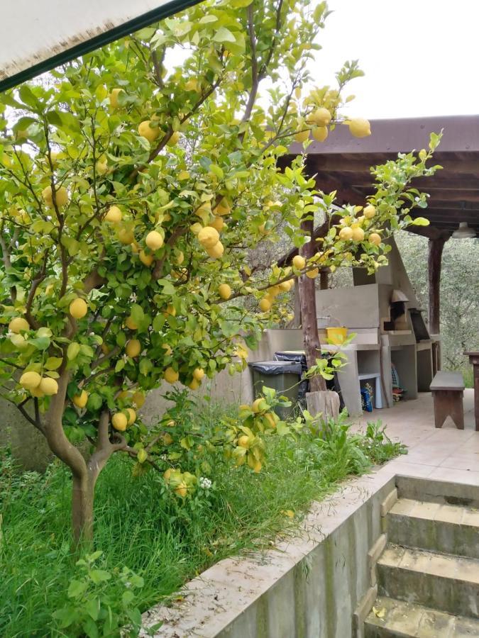 La Casetta Di Sofia Moneglia Extérieur photo